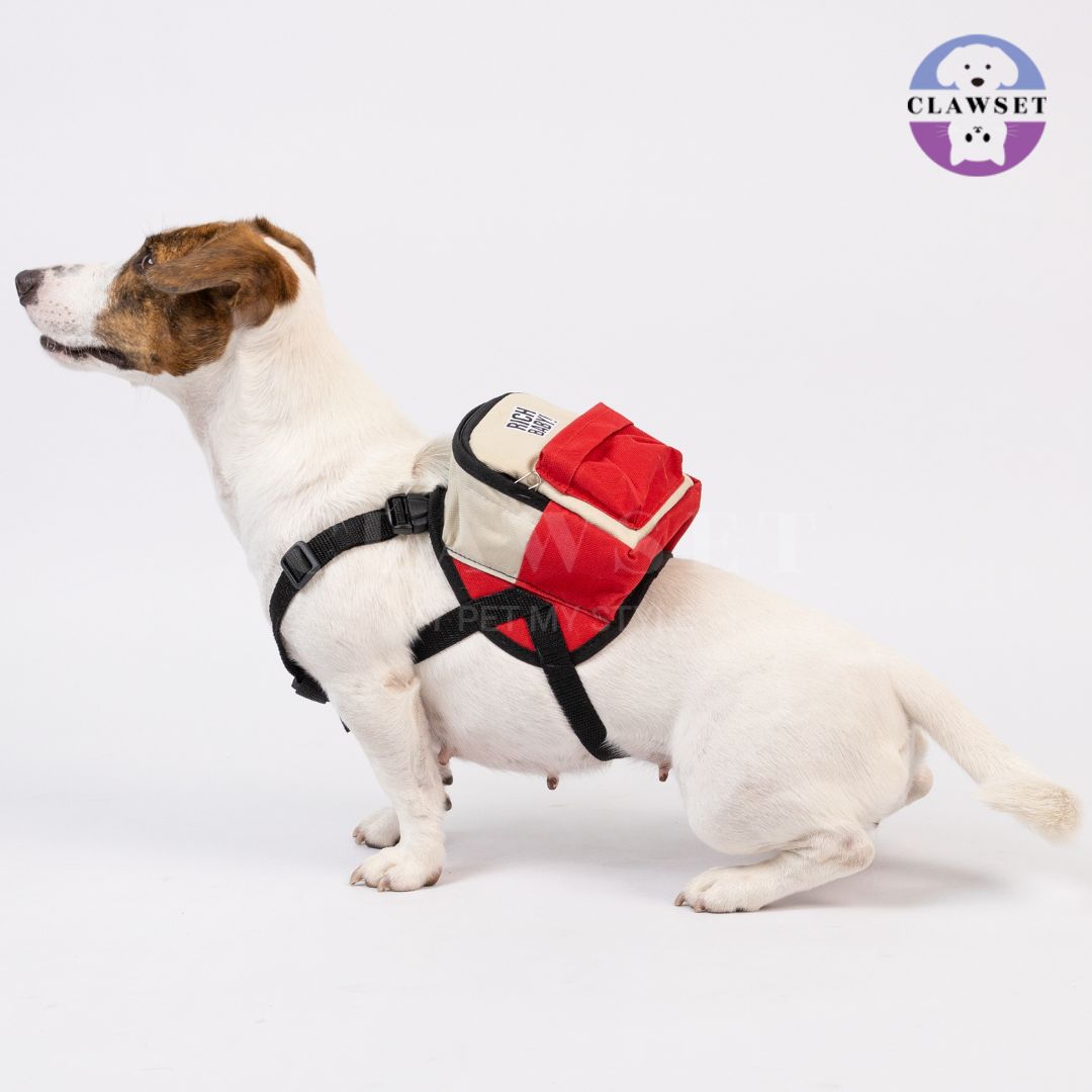 Clawset - Richy Bag - Bag with Leash Set (Tas Anjing & Kucing) - Cream