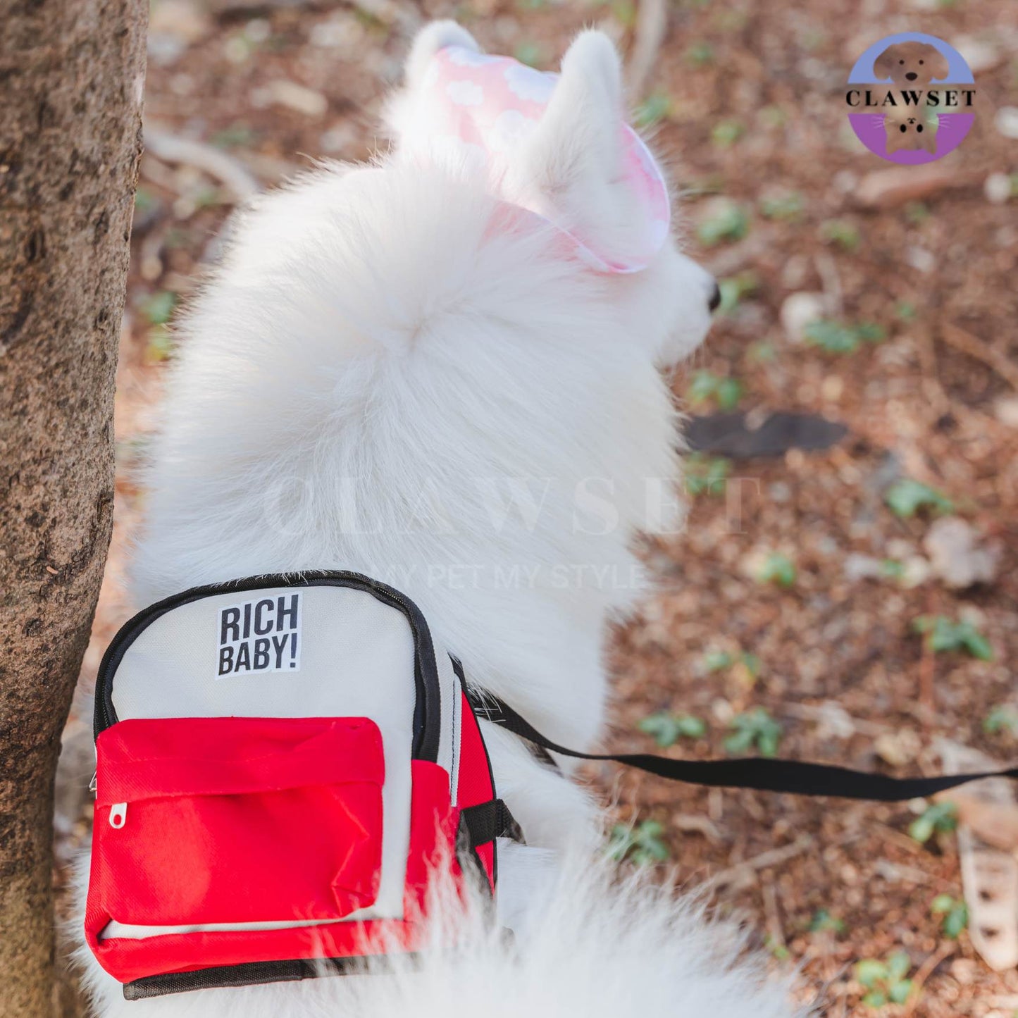 Clawset - Richy Bag - Bag with Leash Set (Tas Anjing & Kucing) - Cream