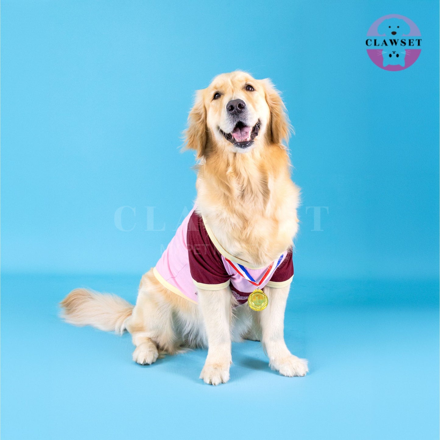 Clawset - Pet T-Shirt - Winner T Shirt - World's Best Napper - Pink