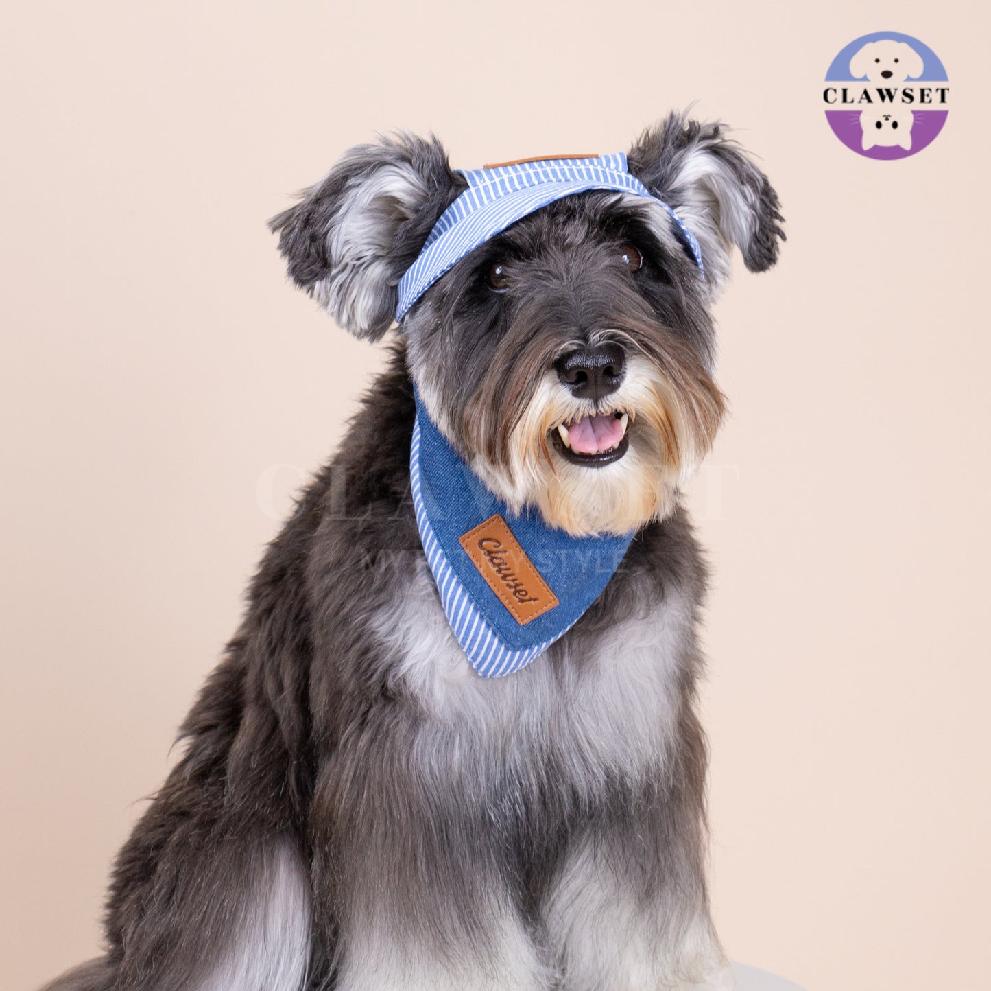 Clawset - Denim Collection - Pet Hat - Stripe Blue