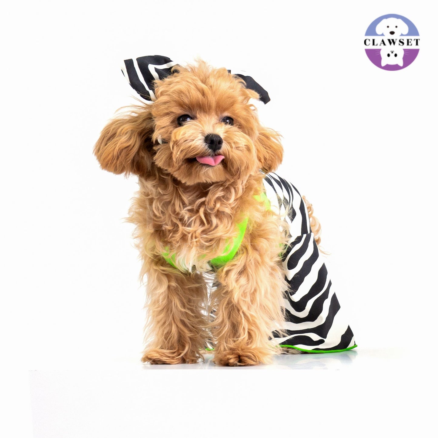 Clawset - Pet Shirt - Flare Jumpsuit - Zebra