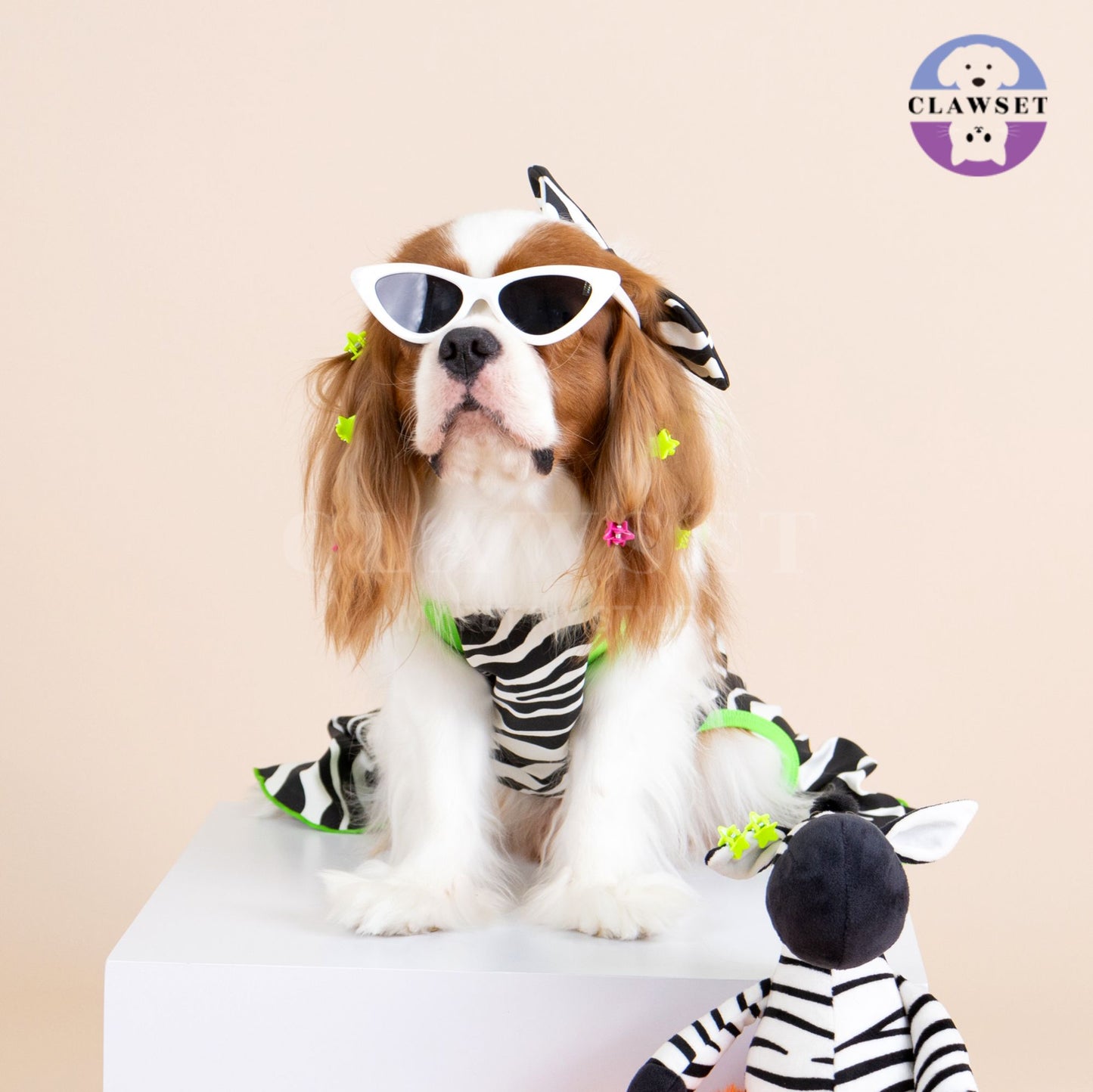 Clawset - Pet Shirt - Flare Jumpsuit - Zebra