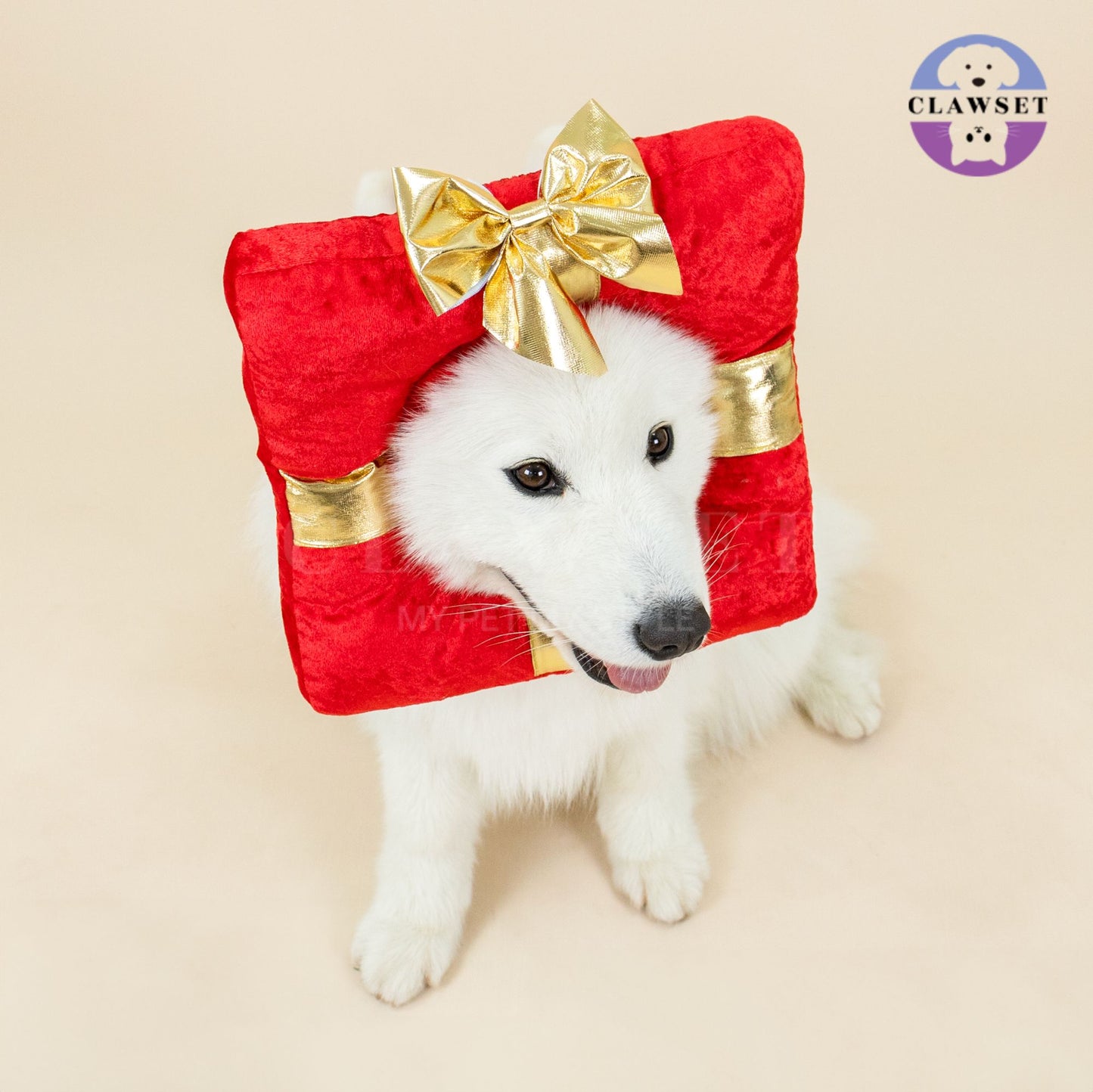Clawset - Pet Headwear - Merry X'Mas - Gift from Santa
