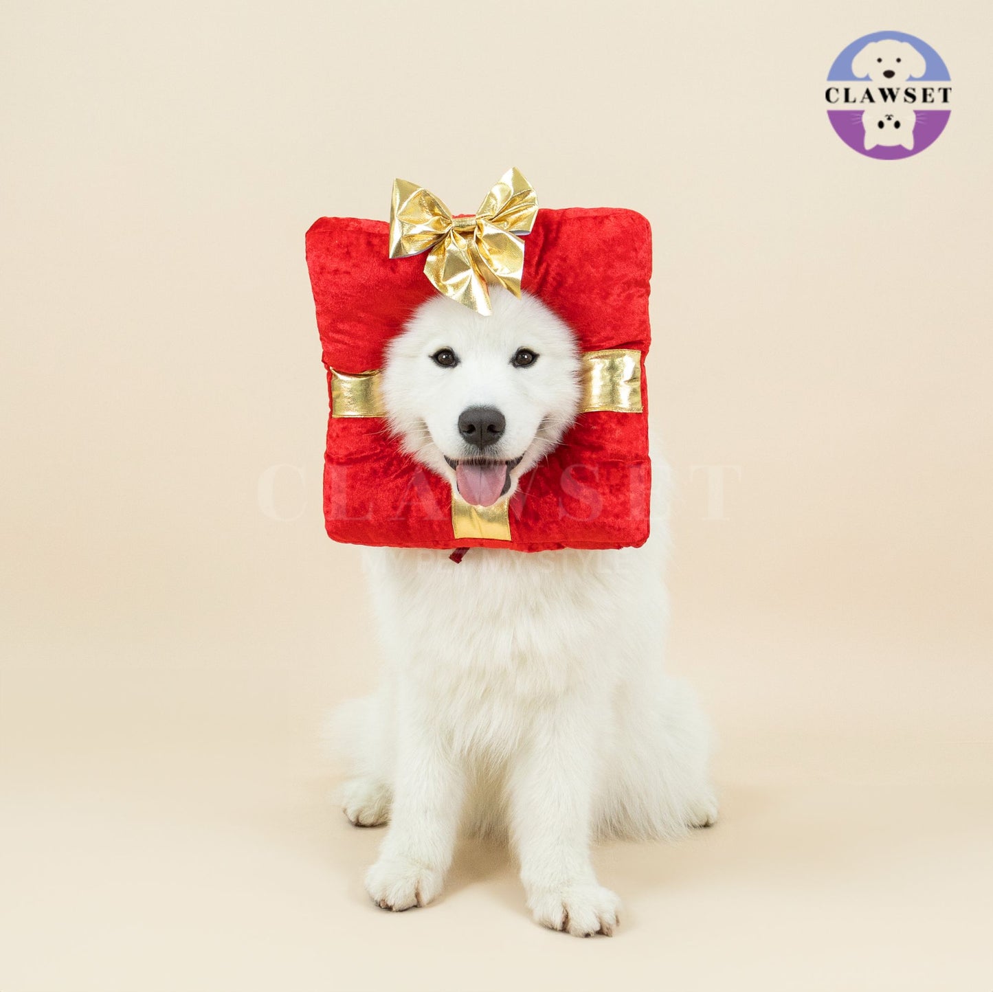 Clawset - Pet Headwear - Merry X'Mas - Gift from Santa