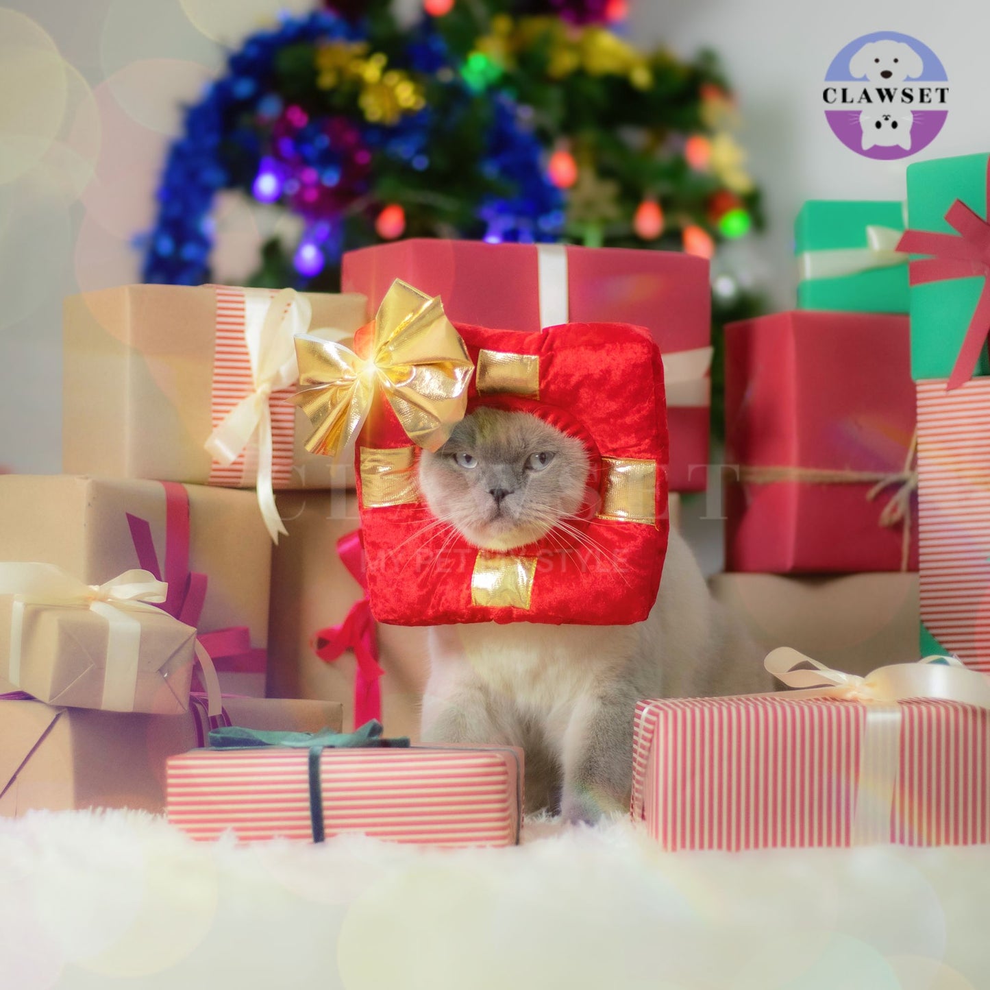 Clawset - Pet Headwear - Merry X'Mas - Gift from Santa