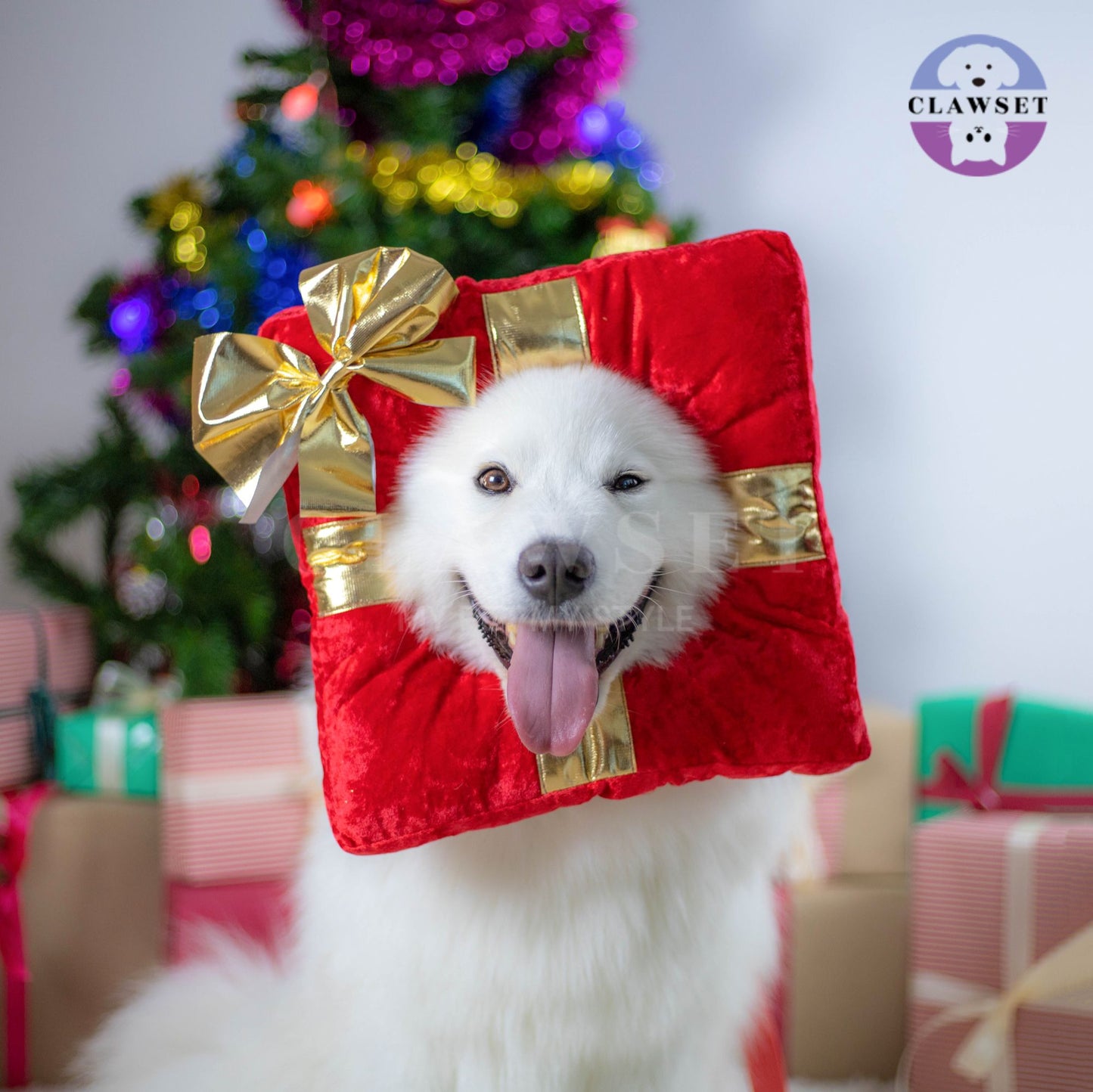 Clawset - Pet Headwear - Merry X'Mas - Gift from Santa