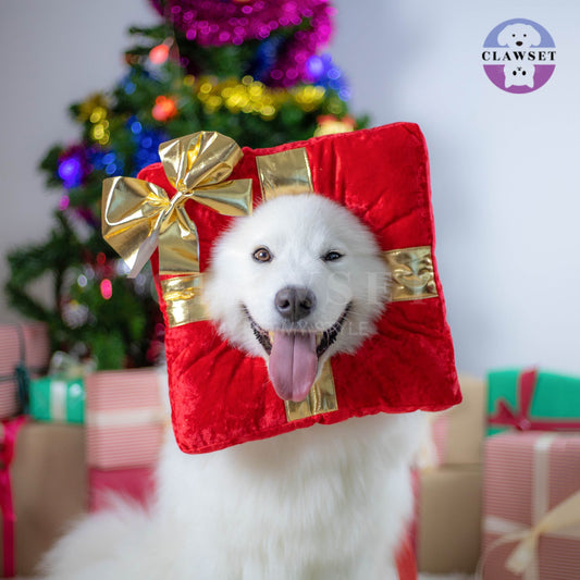 Clawset - Pet Headwear - Merry X'Mas - Gift from Santa