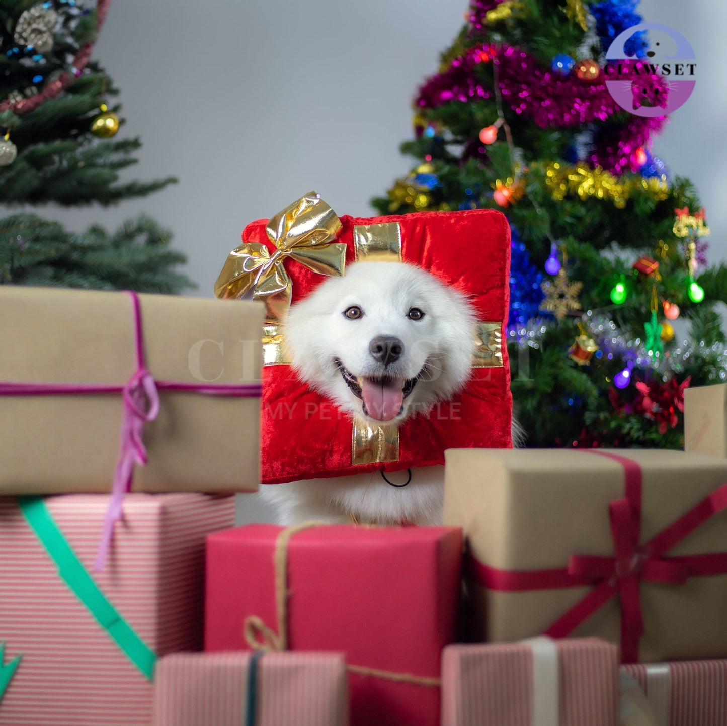 Clawset - Pet Headwear - Merry X'Mas - Gift from Santa