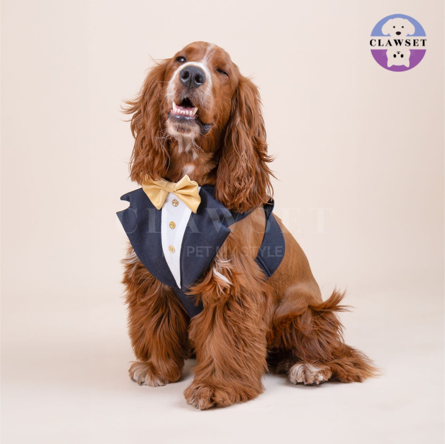 Clawset - Pet Fashion - Tuxedo Harness with Leash Set - Bride & Groom - Black