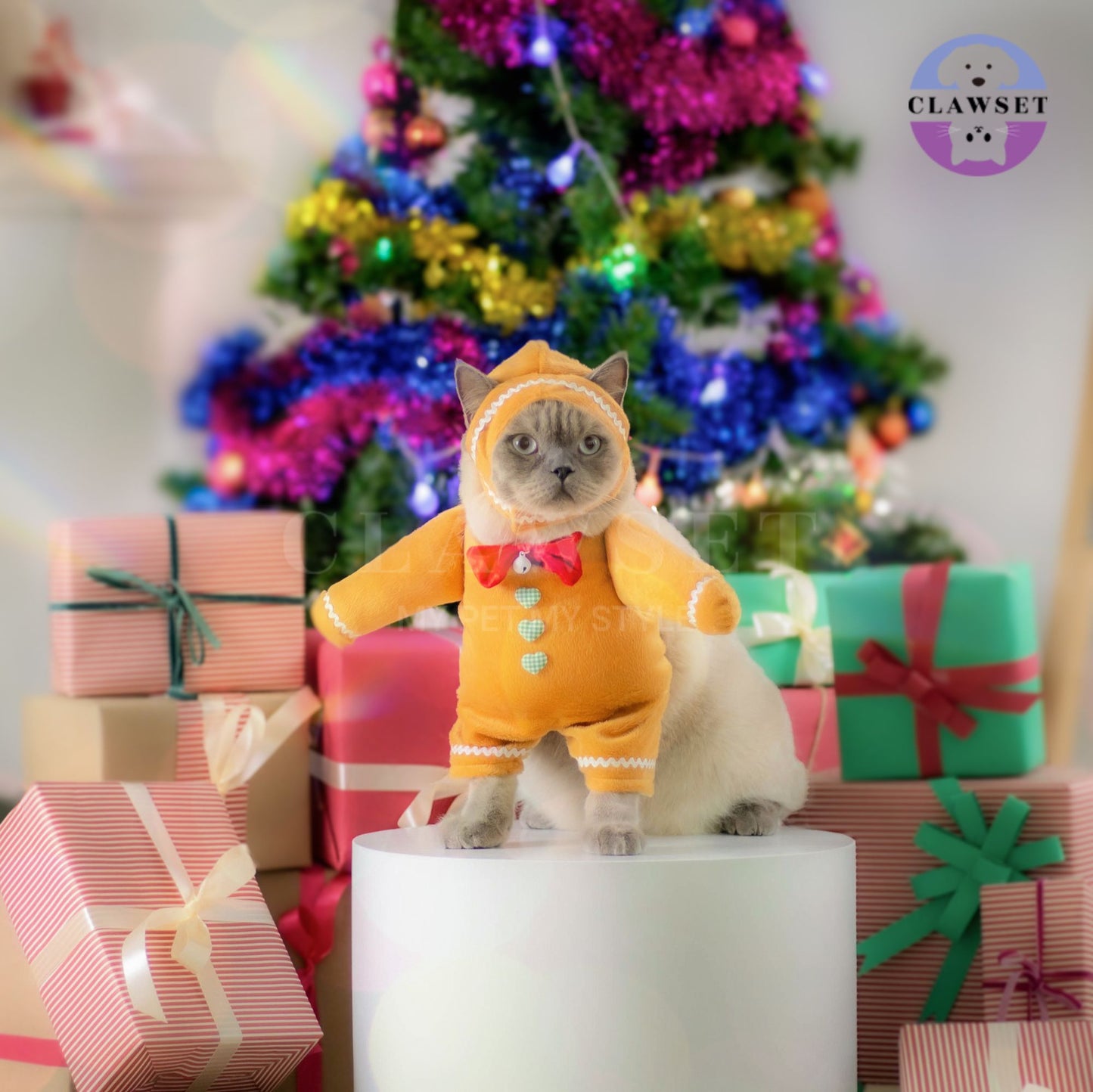 Clawset - Pet Costume - Merry X'Mas -  Gingerbread