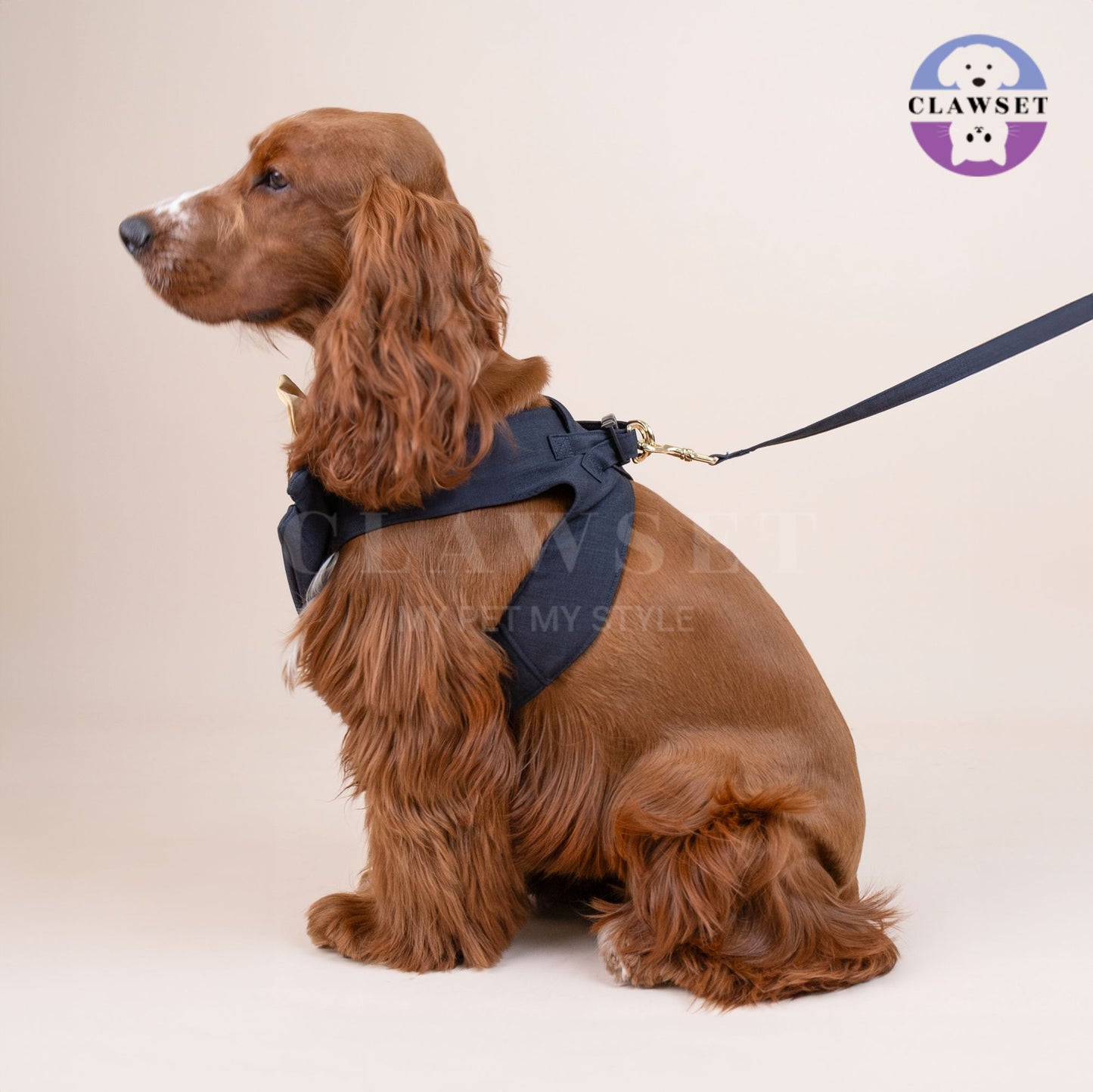 Clawset - Pet Fashion - Tuxedo Harness with Leash Set - Bride & Groom - Black