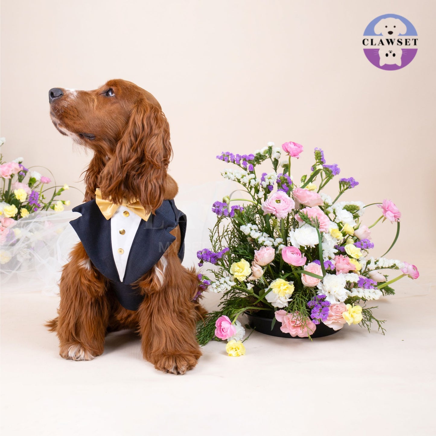 Clawset - Pet Fashion - Tuxedo Harness with Leash Set - Bride & Groom - Black