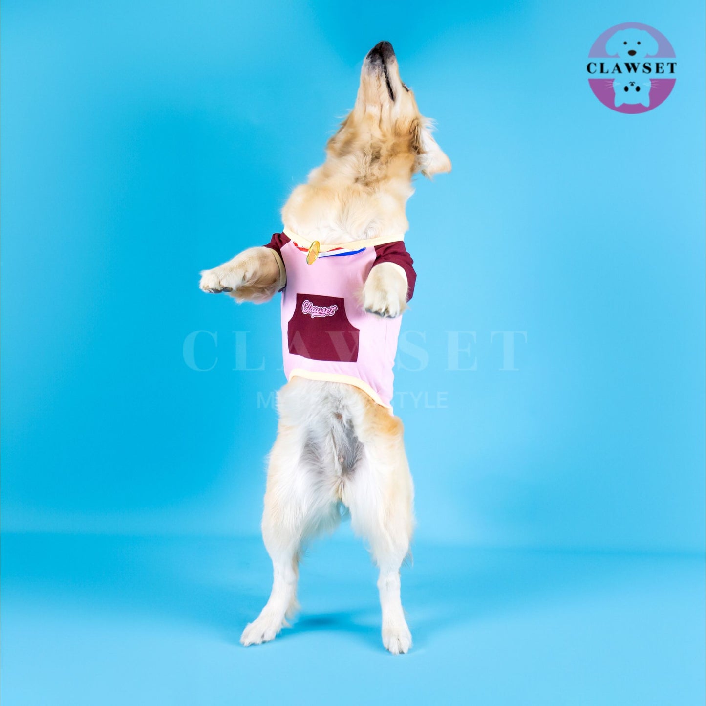 Clawset - Pet T-Shirt - Winner T Shirt - World's Best Napper - Pink