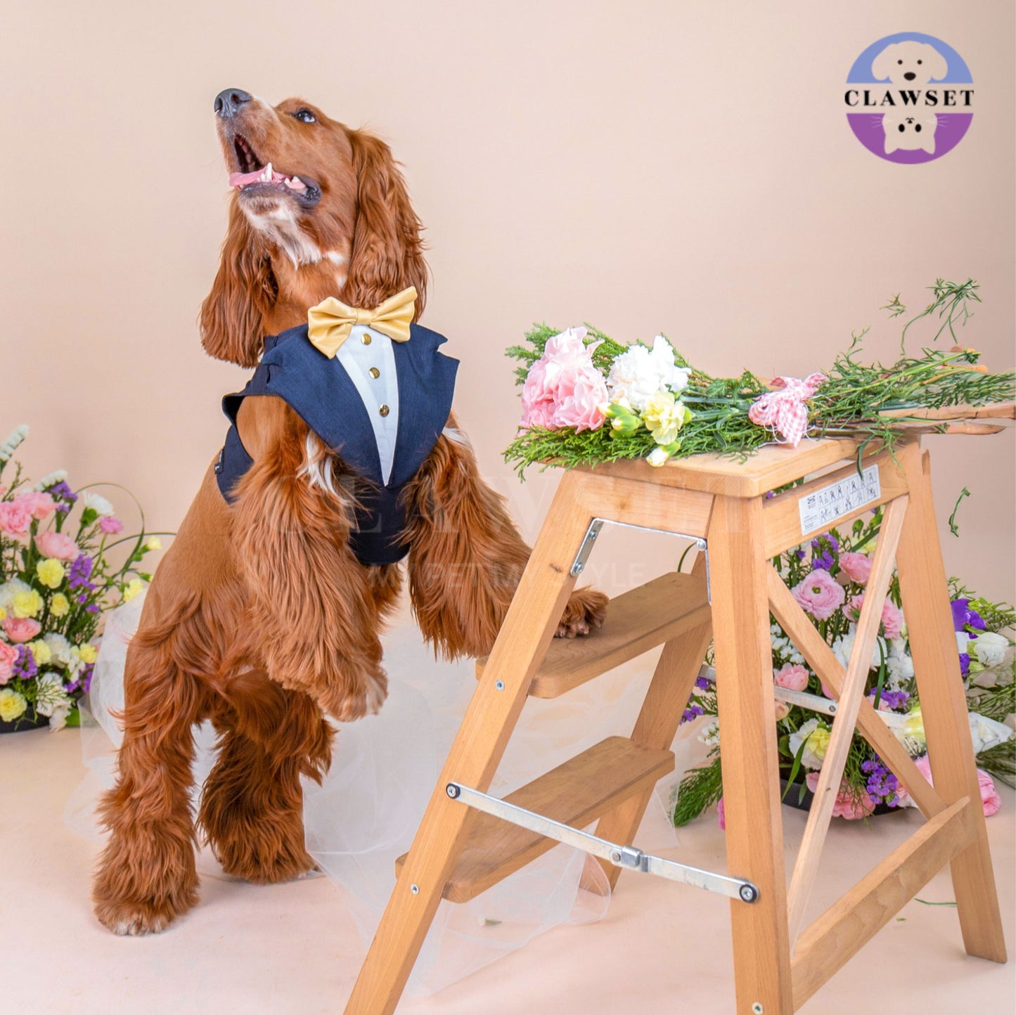 Clawset - Pet Fashion - Tuxedo Harness with Leash Set - Bride & Groom - Black