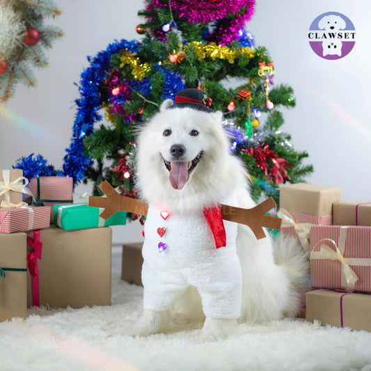 Clawset - Pet Costume - Merry X'Mas - Snowman