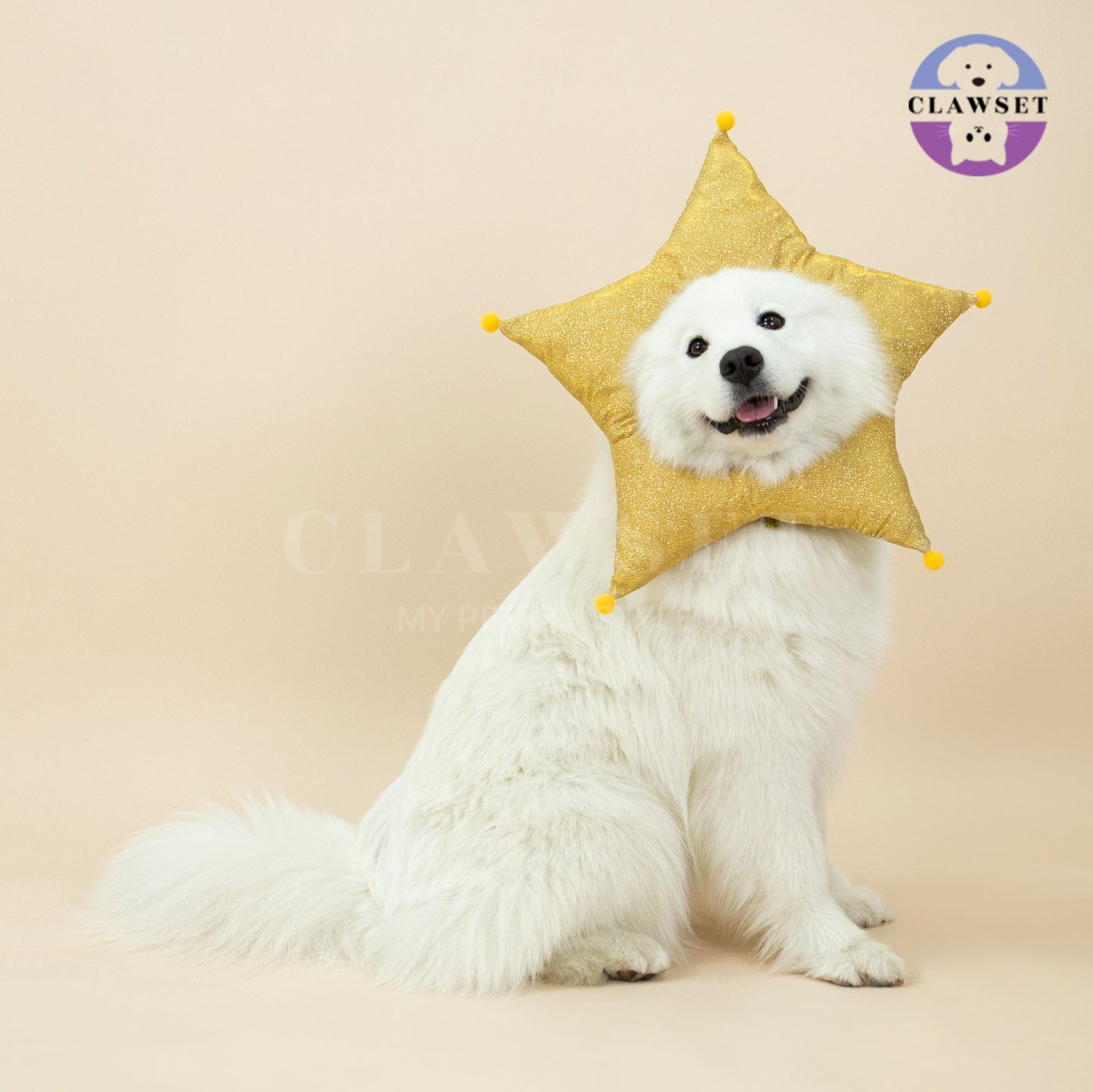 Clawset - Pet Headwear - Merry X'Mas - The Star