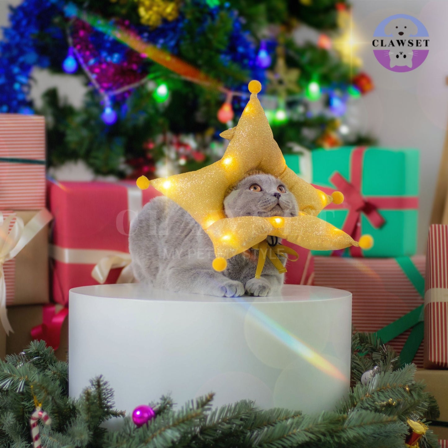 Clawset - Pet Headwear - Merry X'Mas - The Star