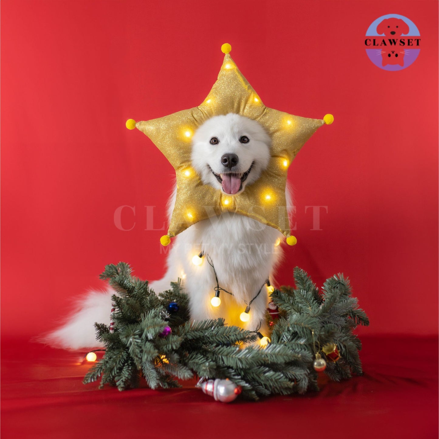 Clawset - Pet Headwear - Merry X'Mas - The Star