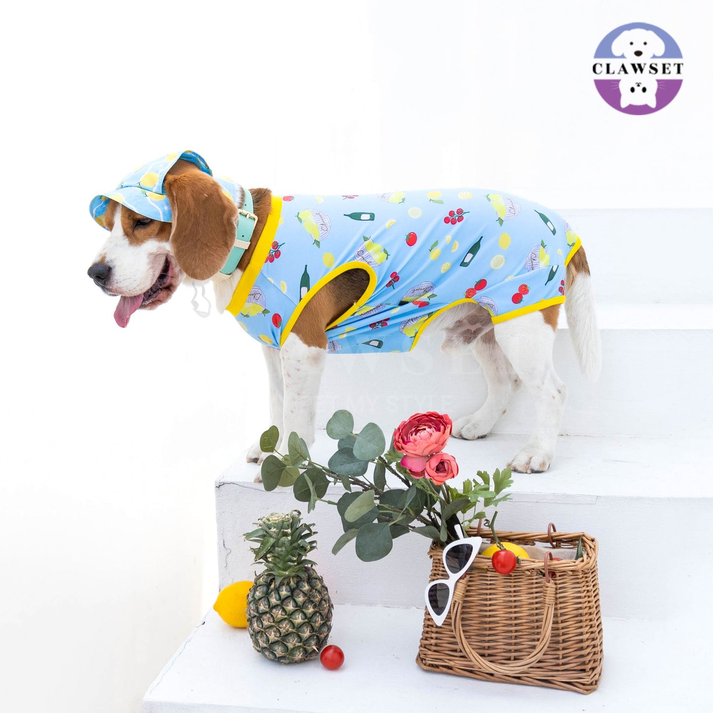 Clawset - Pet Activewear - Italian Summer - Lemon Blue