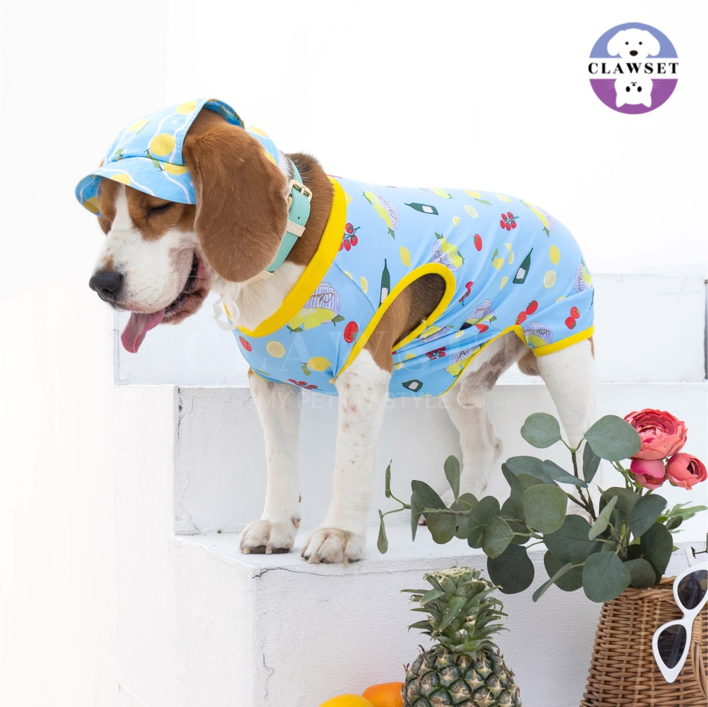 Clawset - Pet Activewear - Italian Summer - Lemon Blue