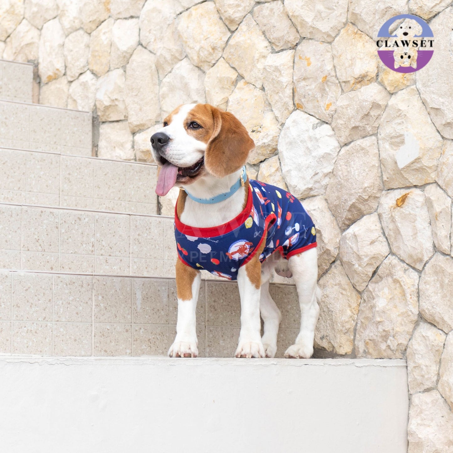 Clawset - Pet Activewear - Italian Summer - Lobster Cream