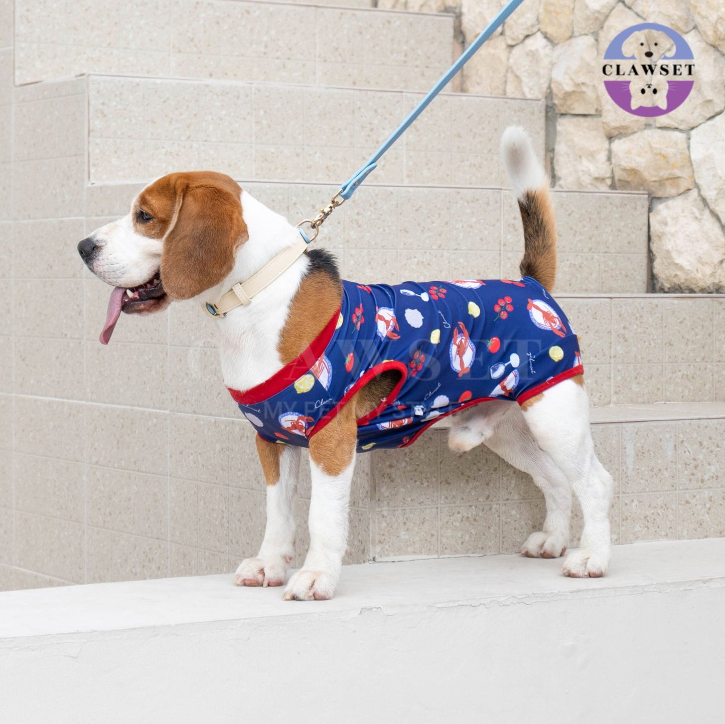 Clawset - Pet Activewear - Italian Summer - Lobster Cream