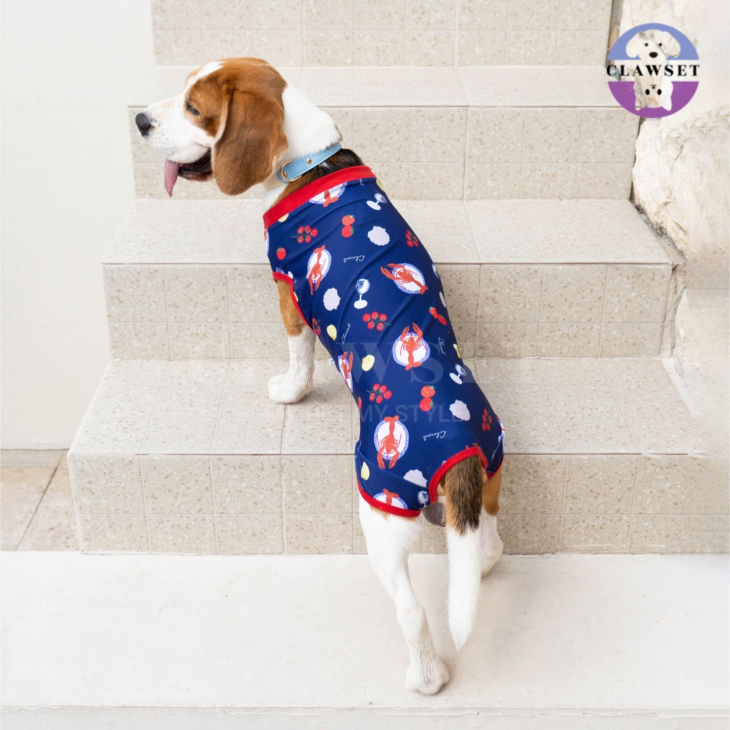 Clawset - Pet Activewear - Italian Summer - Lobster Cream