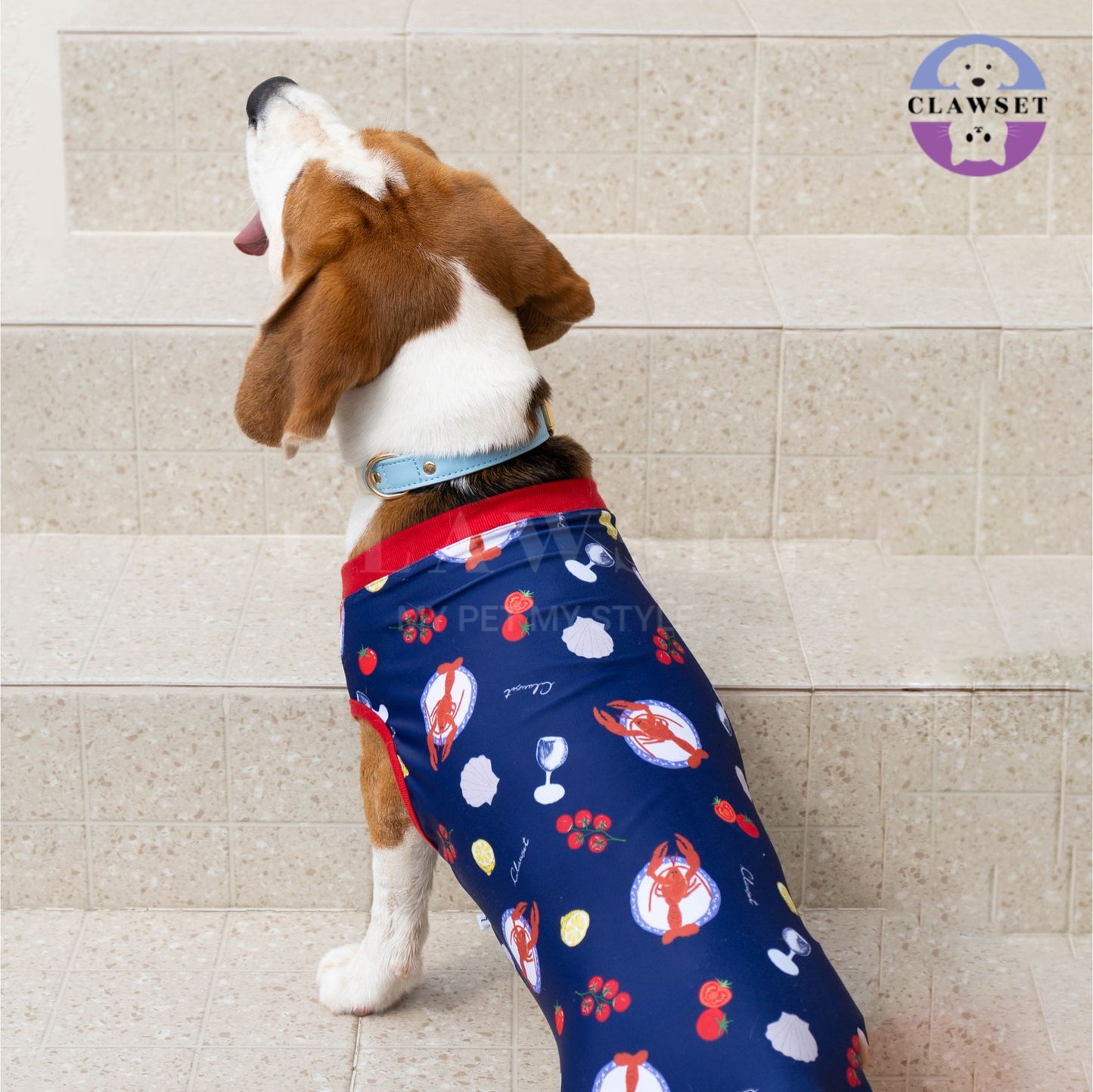 Clawset - Pet Activewear - Italian Summer - Lobster Cream