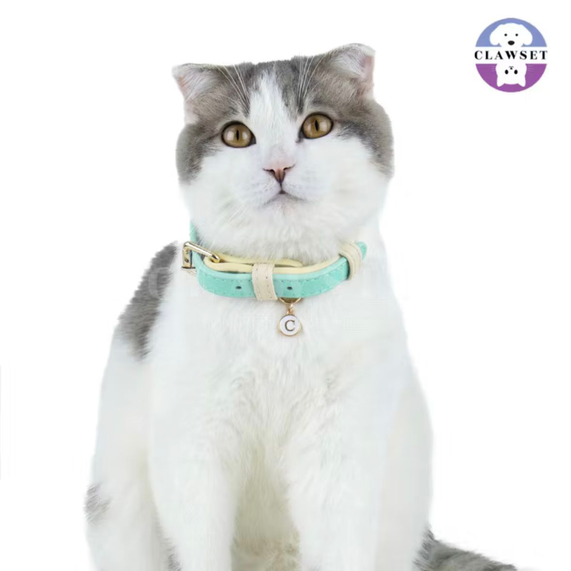 Clawset - Pet Accessories - Adjustable Collar - Mint