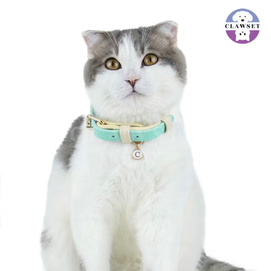 Clawset - Pet Accessories - Adjustable Collar - Mint
