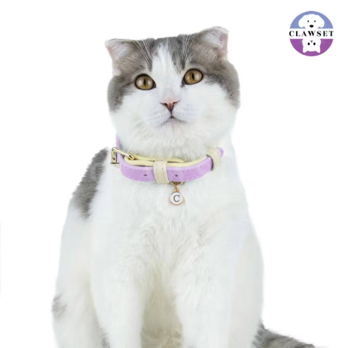 Clawset - Pet Accessories - Adjustable Collar - Purple (Ungu)